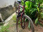 Mountain Bicycle