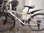 Mountain Bicycle