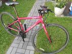 mountain bike