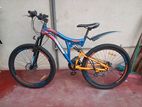 Mountain Bicycle