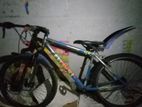 Mountain Bicycle