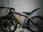 Mountain Bicycle