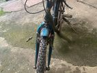 Mountain Bicycle