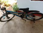 Mountain Bicycle
