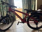 Mountain Bicycle