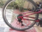 Mountain Bike (MTB)