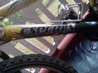 Mountain Bike with A Exyra Tube