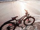 Mountain Cycle
