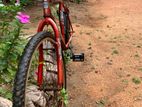 Mountain Bicycle