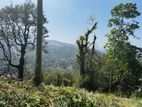 Mountain Land for Sale Aniwatta
