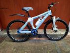 Mountain Single Speed Size 26(Brand New)