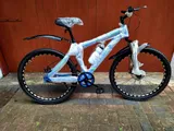 Mountain Single Speed Size 26(Brand New)