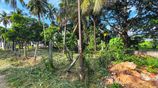 Mountain View Lakefront Land for Sale in Kurunegala Ibbagamuwa
