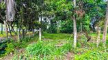 Mountain View Lakefront Land for Sale in Kurunegala Ibbagamuwa