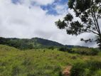 Mountain view land for sale in Delthota