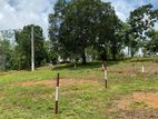 Mountain view land for sale in kegalle