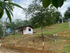 Mountain view land for sale in kegalle