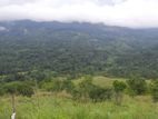 Mountain view land for sale in Nillamba