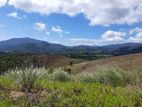 Mountain view land for sale in Nillamba
