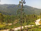 Mountain View Land for Sale in Nillamba