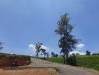 Mountain view land for sale in Nuwaraeliya