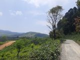 Mountain view land for sale in Nuwaraeliya, Ramboda