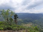 Mountain view land for sale in Pundaluoya