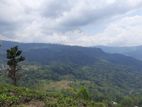 Mountain view land for sale in Pundaluoya