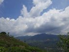 Mountain View Land for Sale in Pundaluoya