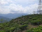 Mountain View land for sale in Pundaluoya