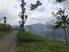 Mountain view Land for sale in Pundaluoya