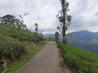 Mountain View Land for Sale in Pundaluoya