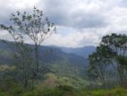 Mountain view land for sale in Pundaluoya