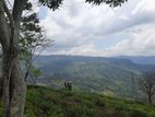 Mountain View land for sale in Pundaluoya