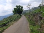 Mountain view land for sale in Pundaluoya