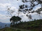 Mountain View Land for Sale in Pundaluoya