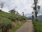 Mountain View Land for sale in Pundaluoya