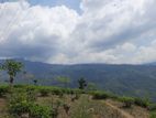 Mountain view Land for sale in Pundaluoya