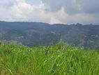 Mountain View Land for Sale in Pussellawa