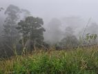 Mountain View Land for sale in Pussellawa
