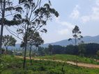 Mountain view land for sale in Ramboda