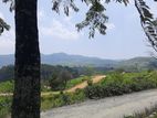 Mountain view land for sale in Ramboda