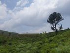 Mountain view land for sale in Ramboda
