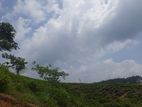 Mountain view land for sale in Ramboda