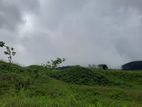 Mountain view land for sale in Ramboda
