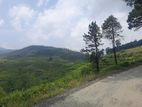 Mountain view land for sale in Ramboda