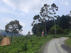 Mountain view land for sale in Ramboda