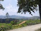 Mountain View Land For Sale In Ramboda