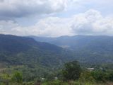 Mountain View Land for Sale Pundaluoya