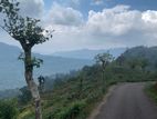 Mountain View Lands for Sale in Pundaluoya